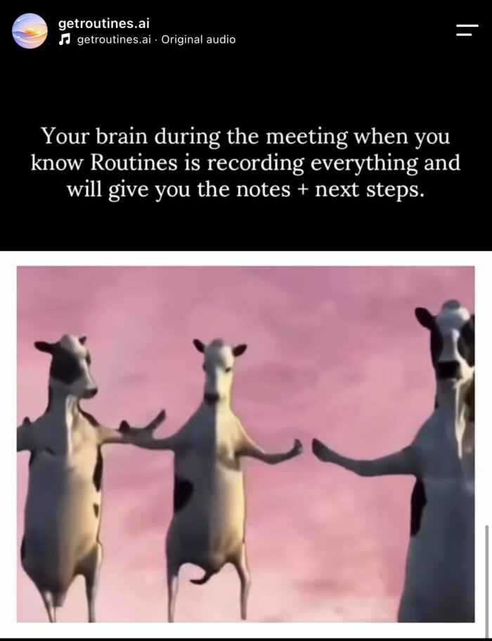 Routines reel on Instagram: dancing cows, captioned 'Your brain during the meeting when you know Routines is recording everything and will give you the notes + next steps.'